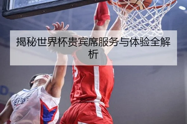 揭秘世界杯贵宾席服务与体验全解析