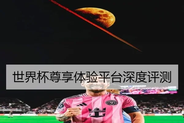 世界杯尊享体验平台深度评测
