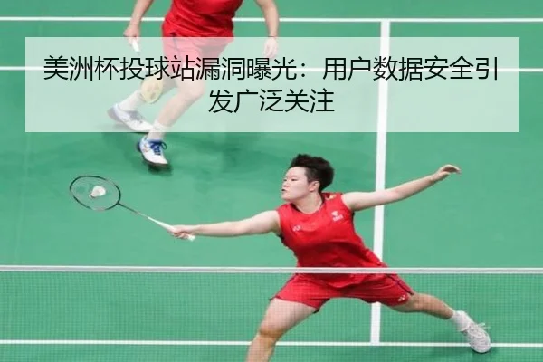 美洲杯投球站漏洞曝光：用户数据安全引发广泛关注