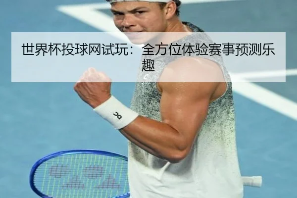 世界杯投球网试玩：全方位体验赛事预测乐趣