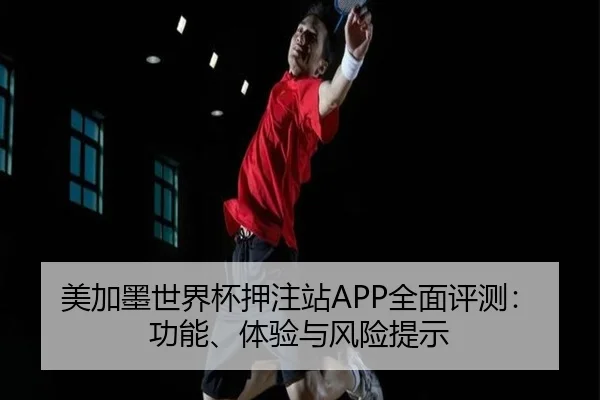 美加墨世界杯押注站APP全面评测：功能、体验与风险提示